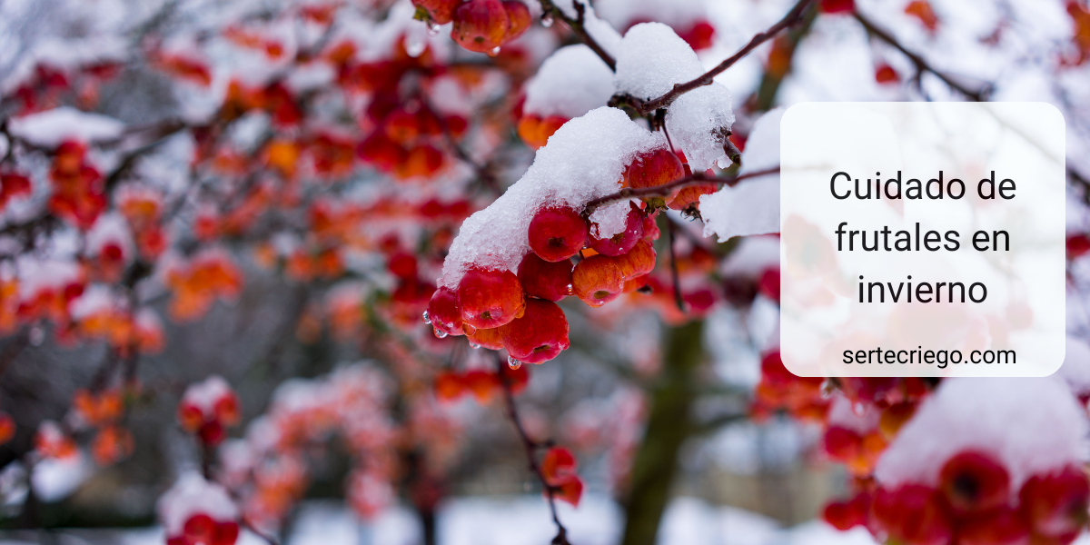 Cuidado de frutales en invierno