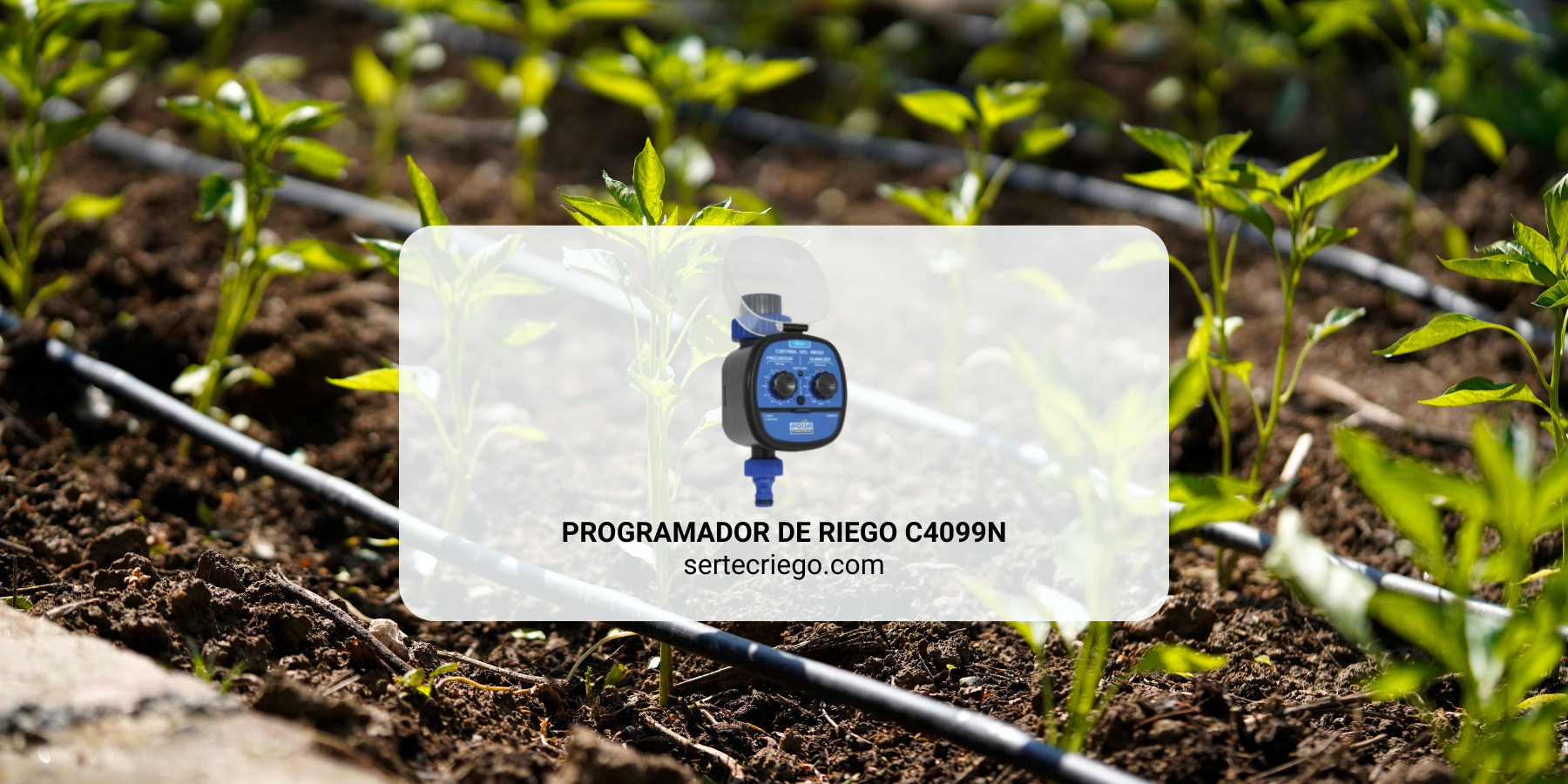 Programador de riego C4099N