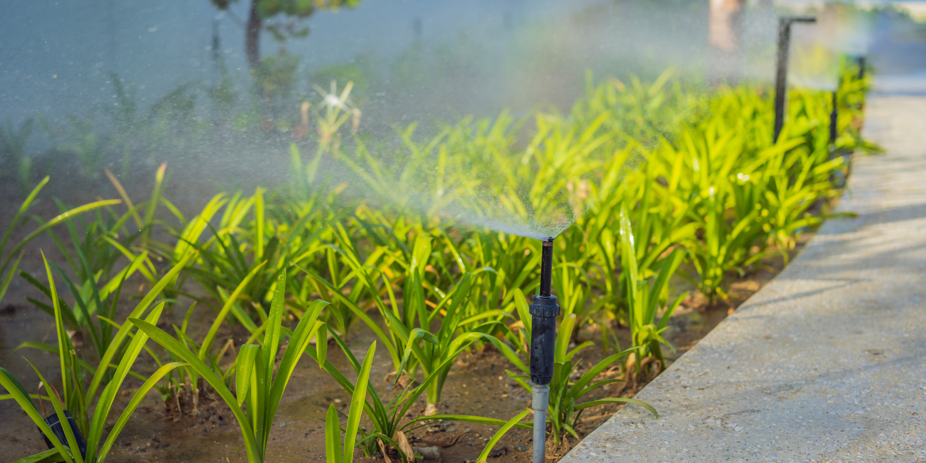 riego automático para jardín